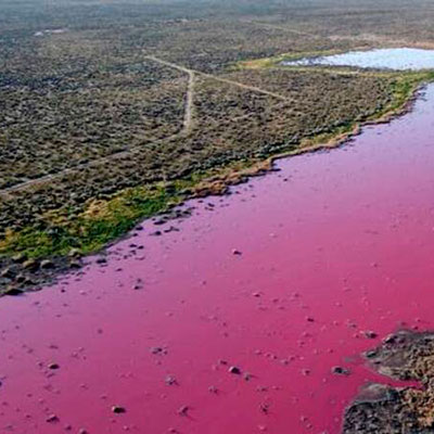 Lagoa poluída na Patagónia, Argentina